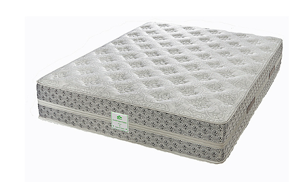 2 sided Oasis mattress for sale in Ontario Canada
