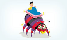 Bed Bugs Bed Bugs