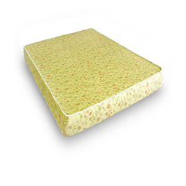 Foam Rollaway Mattress