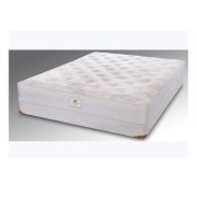 I need to order a European Queen size mattress (160cm by200cm) and I need it in four days!