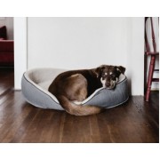 Can you make custom size (35” x 44”) memory foam mattresses for my dog beds? Can you make custom size (35” x 44”) memory foam mattresses for my dog beds?
